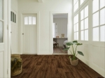 Aged Oak 364D