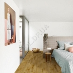 Willow Oak 636M