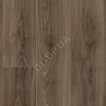 Cumbrian Oak 669D