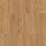 Kastamonu SMT004 Salina Oak